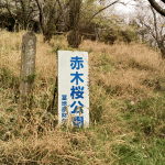 「赤木桜公園」に行ってみた