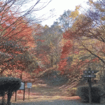 「ふれあいの森」に紅葉を見に行ってきました（２０１７年）